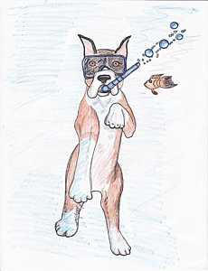 230x300 Snorkel Drawings Fine Art America