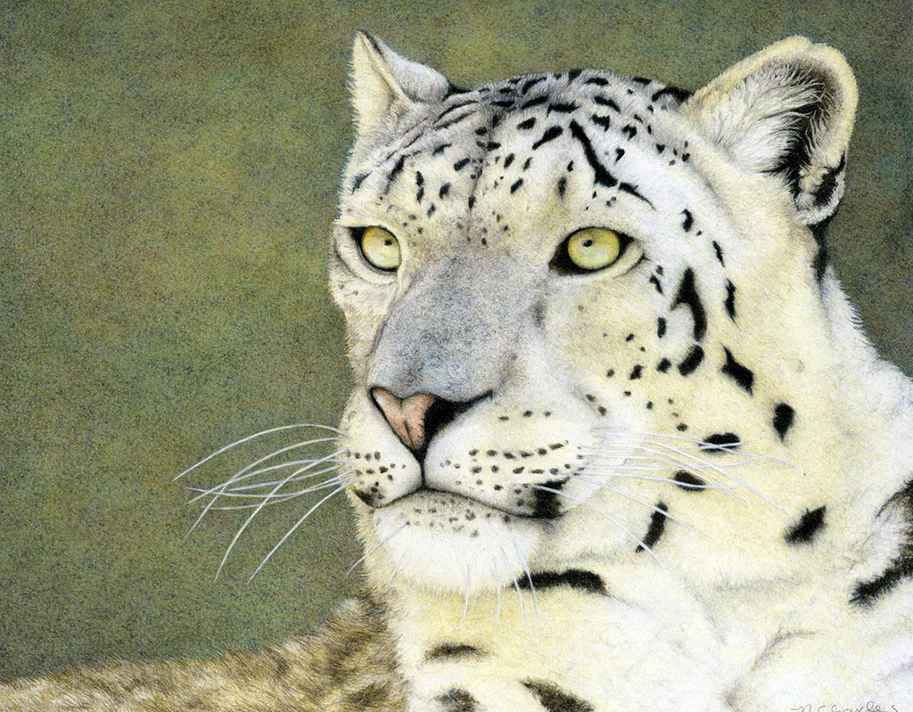 1024x799 Nancy Charles Original Drawing