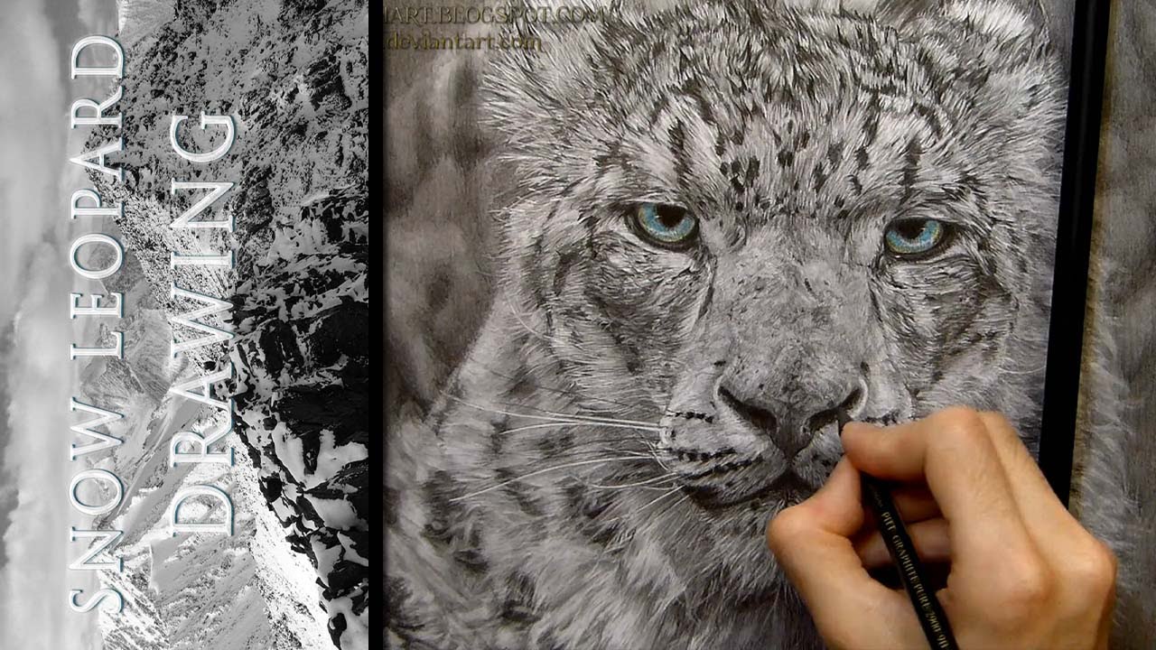 1280x720 Snow Leopard Drawing Realistic