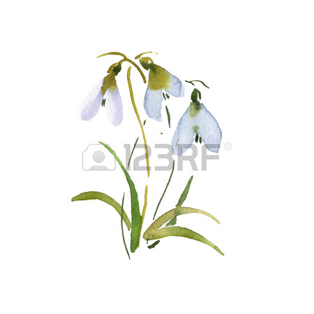 450x450 412 The Day Of Snowdrop Cliparts, Stock Vector And Royalty Free
