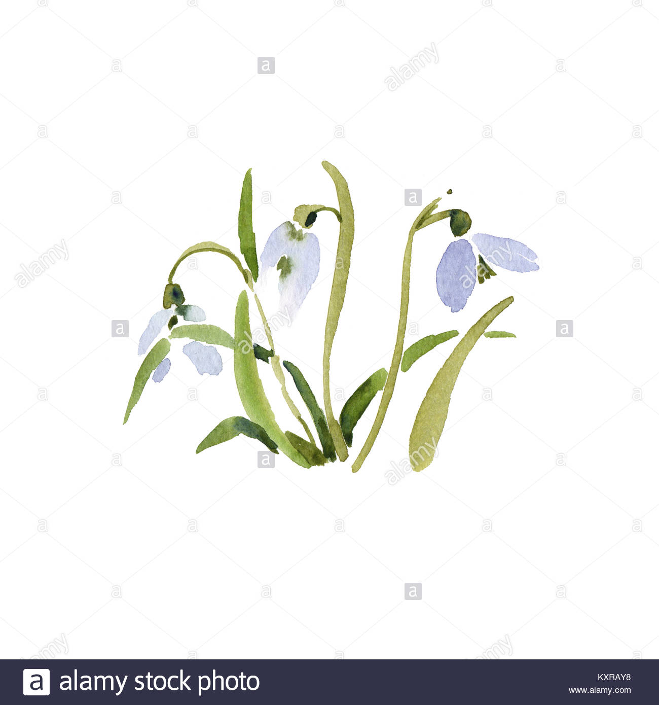 1300x1390 Happy Cartoon Beaver Flower Stock Photos Amp Happy Cartoon Beaver