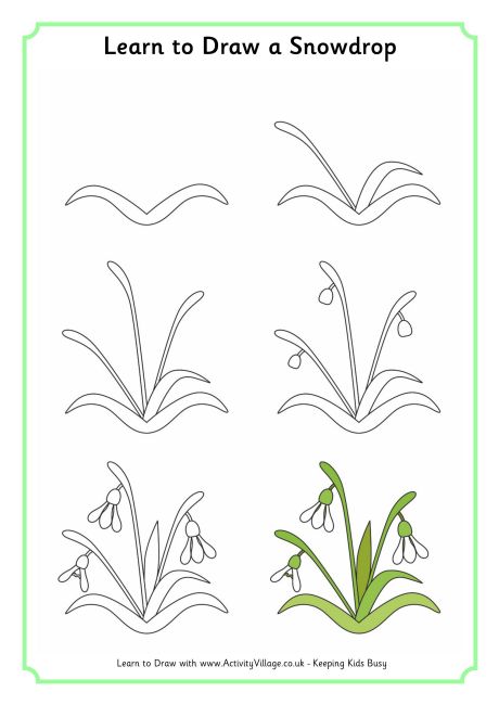 460x650 Learn To Draw A Snowdrop 460 0.jpg