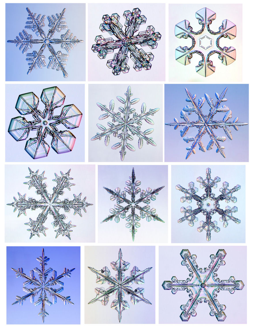 877x1142 Snowflake Activities For Kids