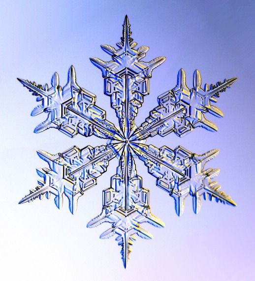 518x570 Snowflakes Under Microscope Album, Snow And Winter