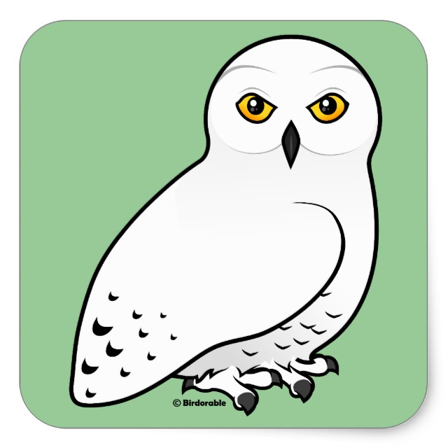 Cute Snowy Owl Drawing ~ Owl Snowy Cute Drawing Draw Drawings Visit ...
