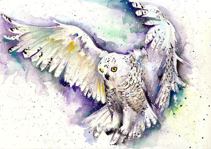 900x636 Snowy Owl Paintings Fine Art America