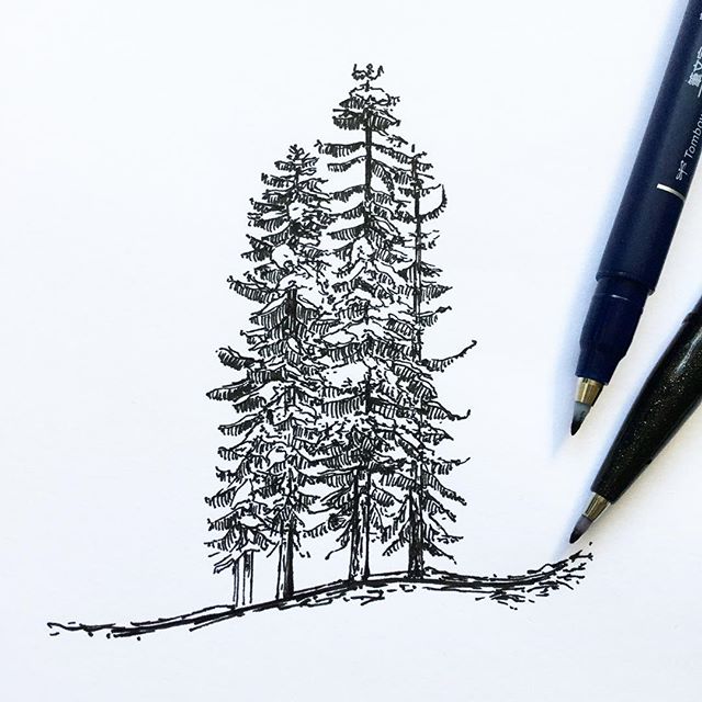 Snowy Tree Drawing at GetDrawings | Free download