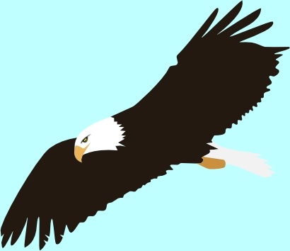 410x354 Soaring Eagle Clip Art Free Vector In Open Office Drawing Svg