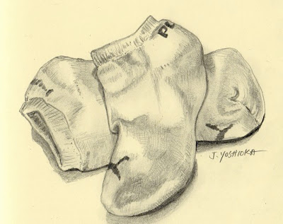 400x317 Drawing On Nature Edm