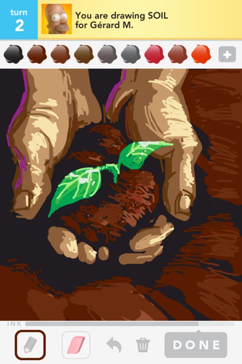 500x750 Soil Drawings