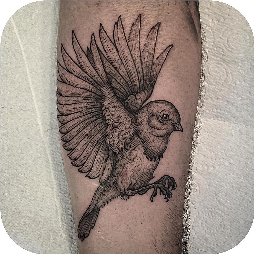 1080x1080 Arm Graphic Sparrow Tattoo Best Tattoo Ideas Gallery