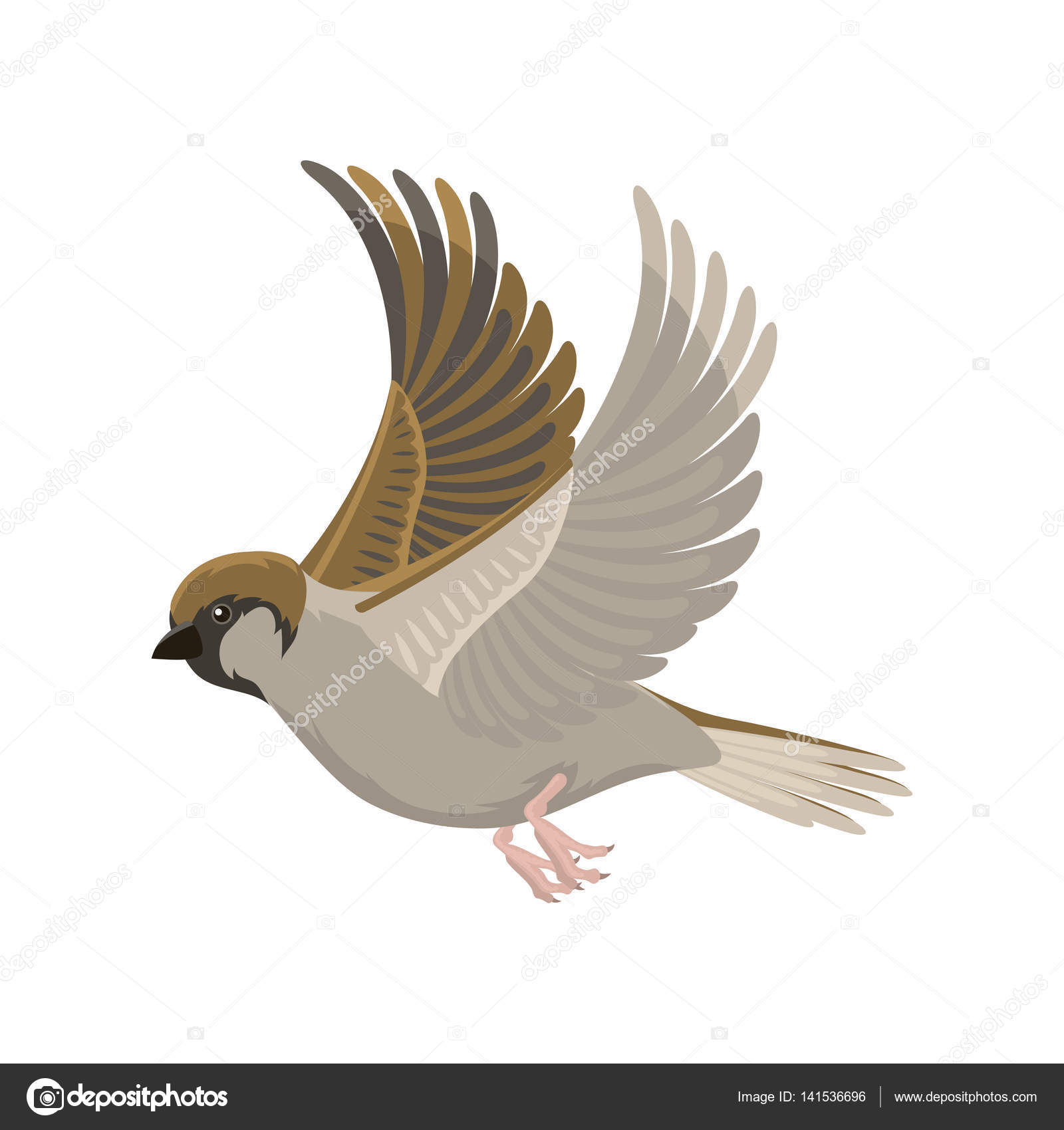 1600x1700 Sparrow Flying Bird Vector Illustration Stock Vector