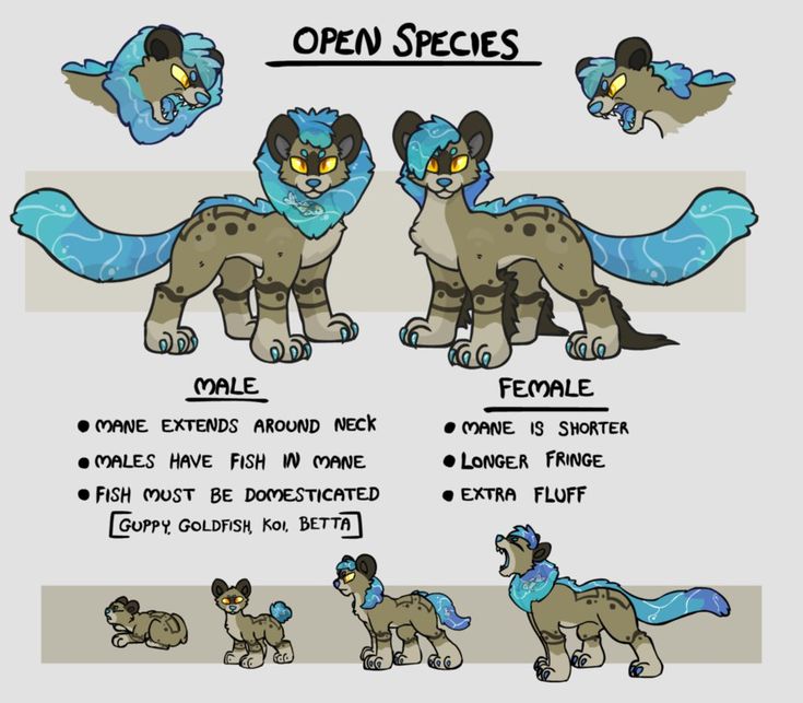 735x643 183 Best Species Images On Drawing Ideas, Character