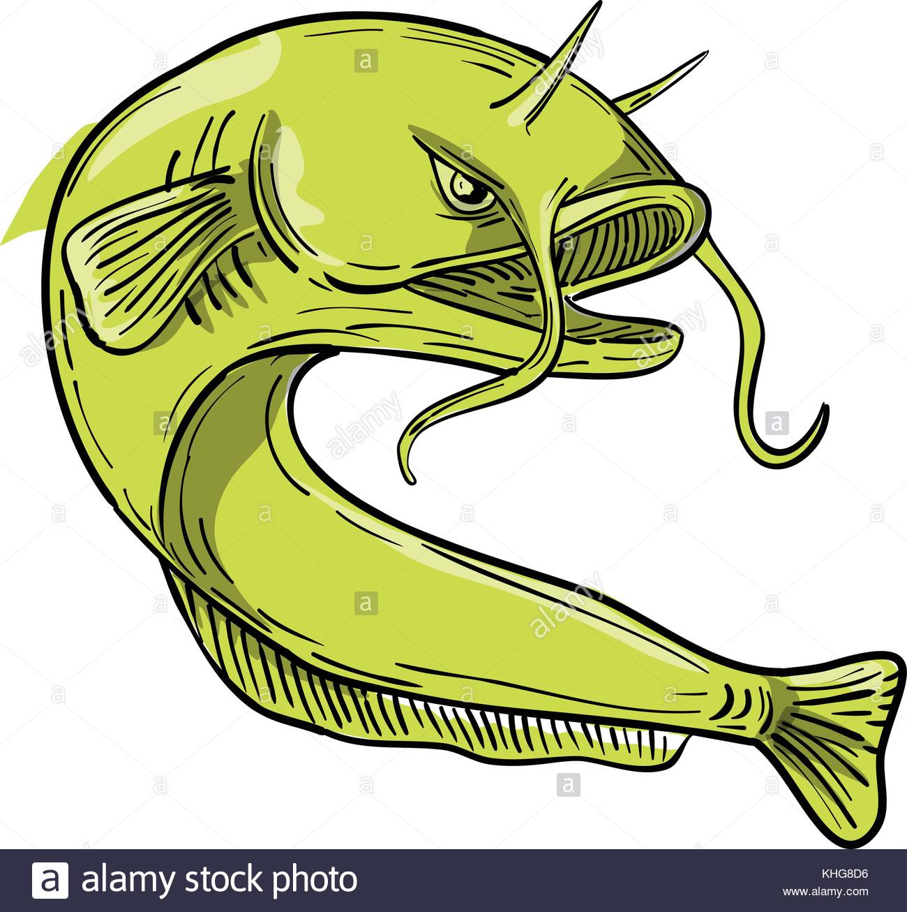 1300x1306 Drawing Sketch Style Illustration Of The Giant Devil Catfish