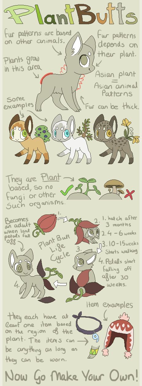 464x1260 Feathertail Species Guide [New Info] By Coffeecuppup Draw