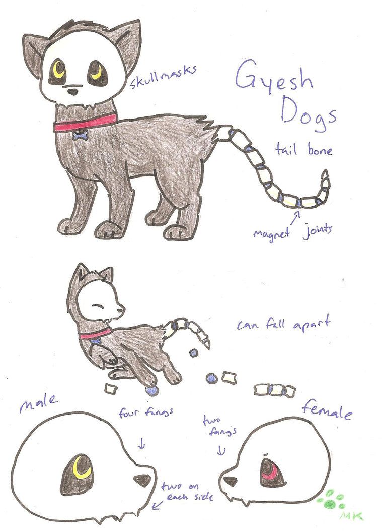 759x1053 New Species Gyesh Dog By On @