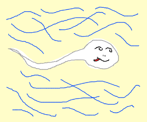 300x250 Sperm (Drawing By Lucyjam)