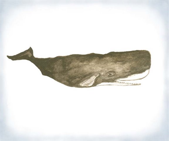 576x480 Index Of Wp Contentgallerydrawings