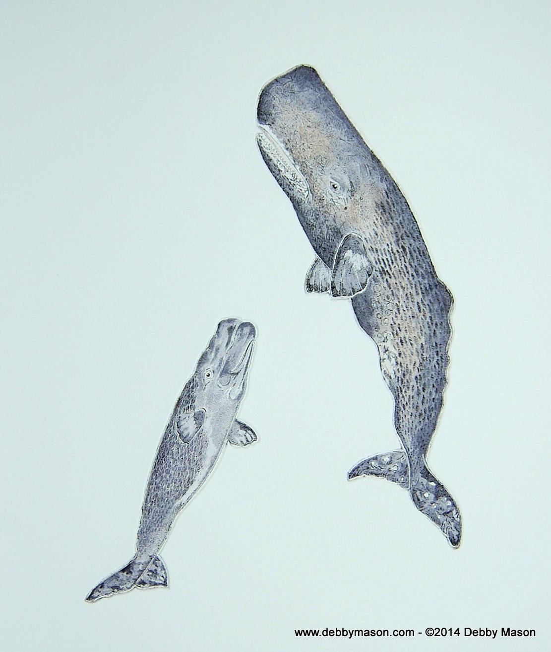 1111x1313 Sperm Whales