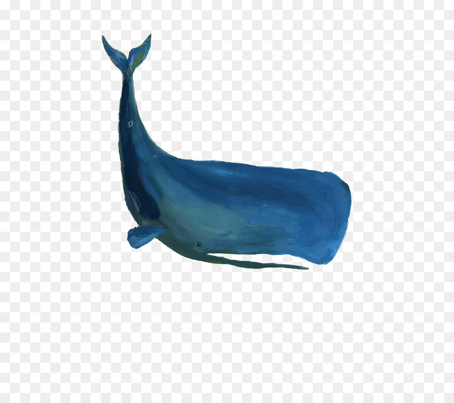 Sperm Whale Drawing at GetDrawings | Free download