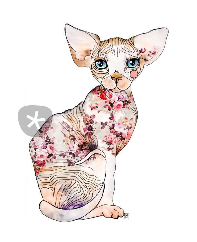 651x800 Ederba The Sphynx Drawing Art Prints And Posters By Sara Ligari