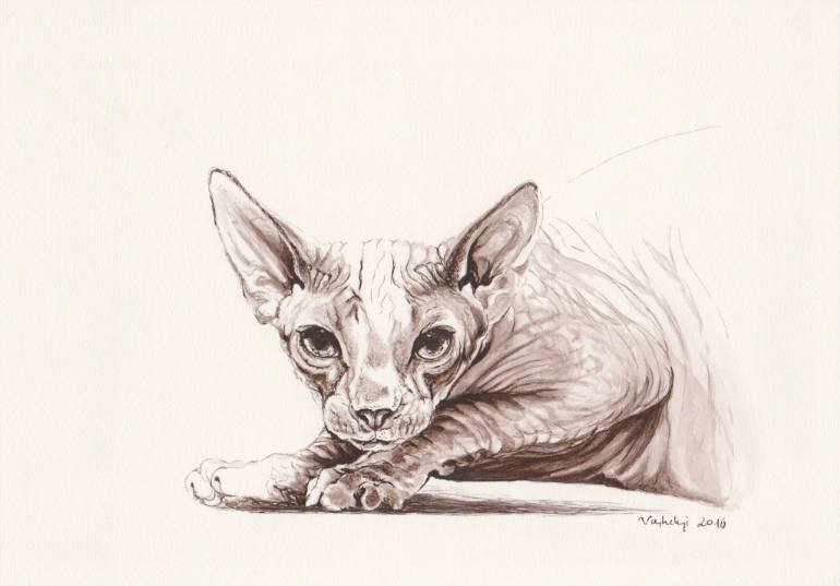 770x537 Saatchi Art Sphynx Cat Drawing By Lilla Varhelyi