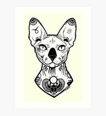 210x230 Sphynx Cat Drawing Gifts Amp Merchandise Redbubble