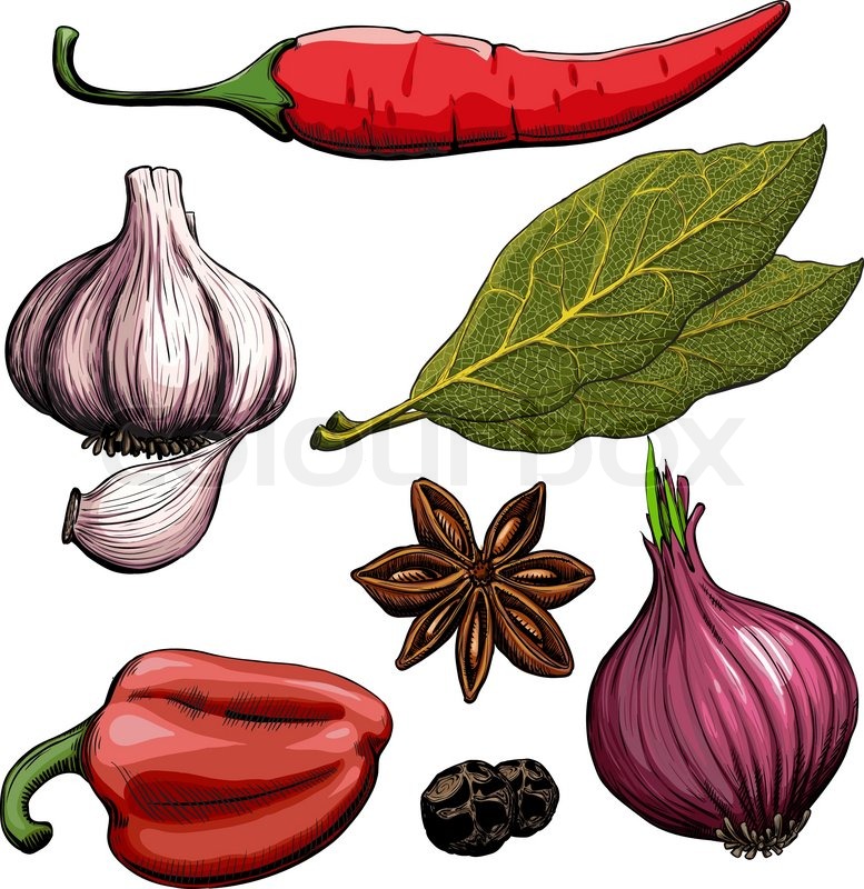 777x800 Spice. Onion, Garlic, Pepper, Bay Leaf, Hot Pepper Drawing Woodcut