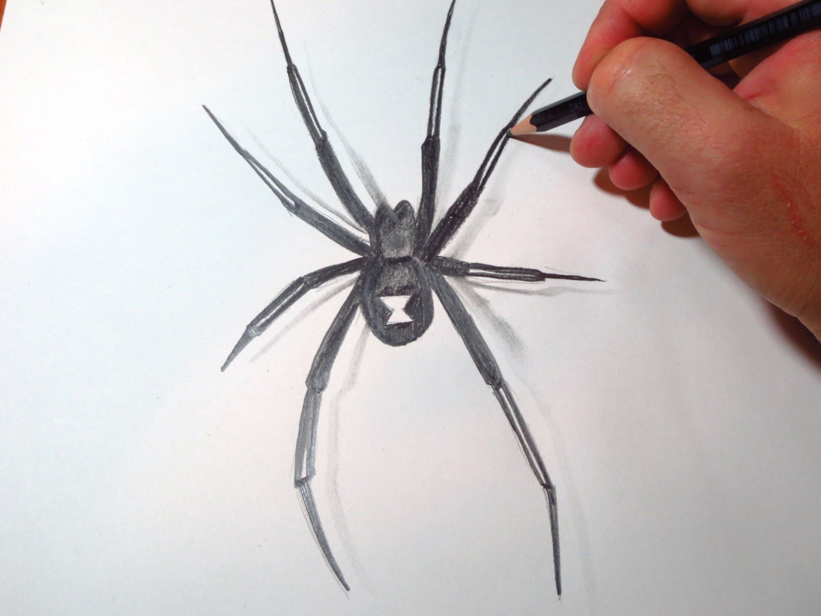 1600x1200 How To Draw Black Widow Spider