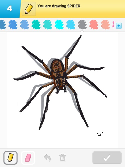 500x667 Spider Drawings