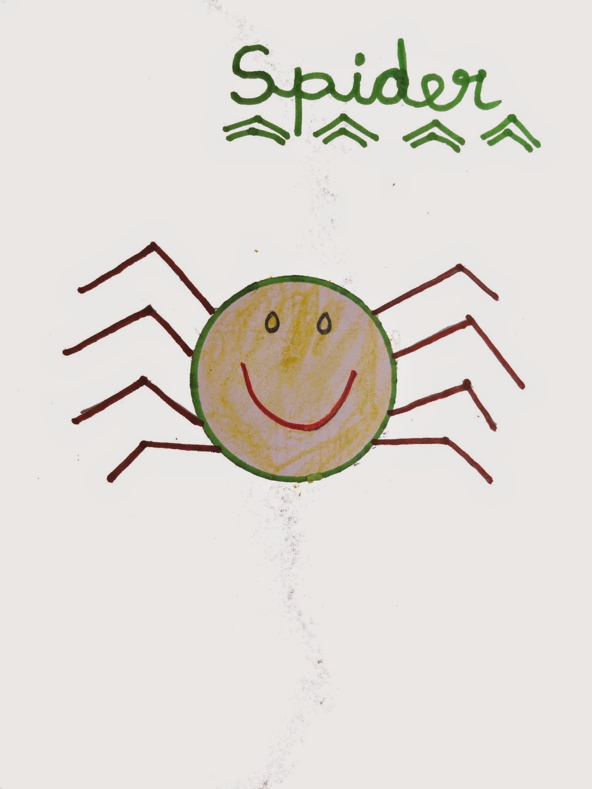 1200x1600 Spider Drawing And Facts Virtual Kidspace