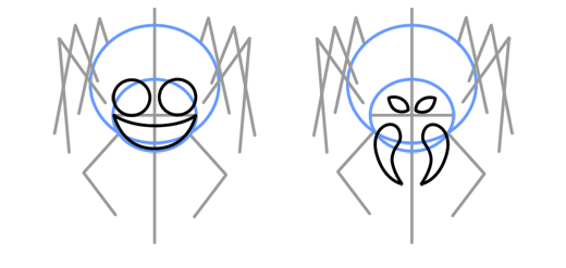 520x247 Cartoon Spider Step By Step Drawing Lesson