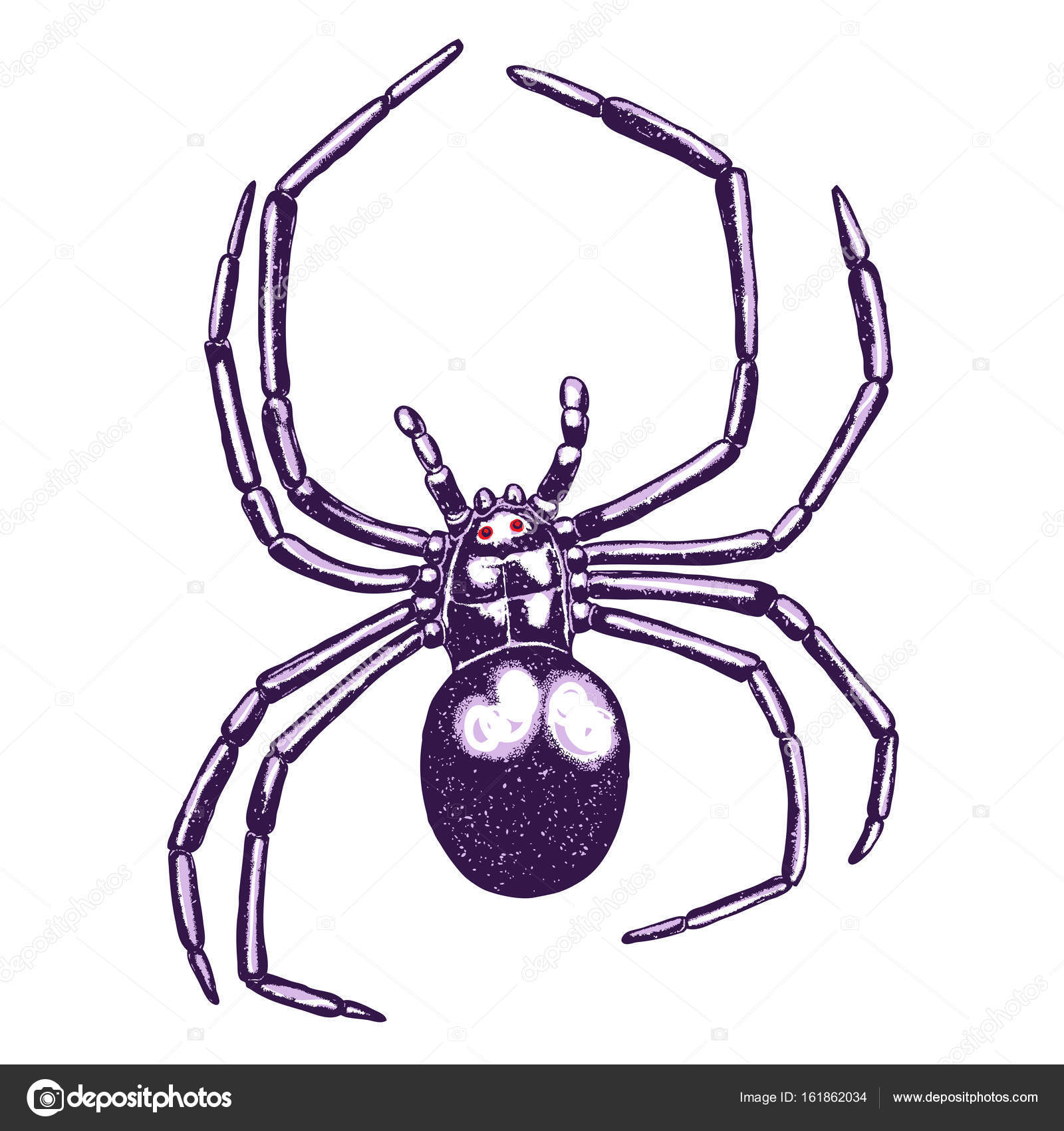 1600x1700 Stipple Drawing Of Spider Stock Vector Goldenshrimp