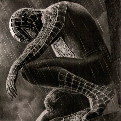 500x500 Spiderman 3