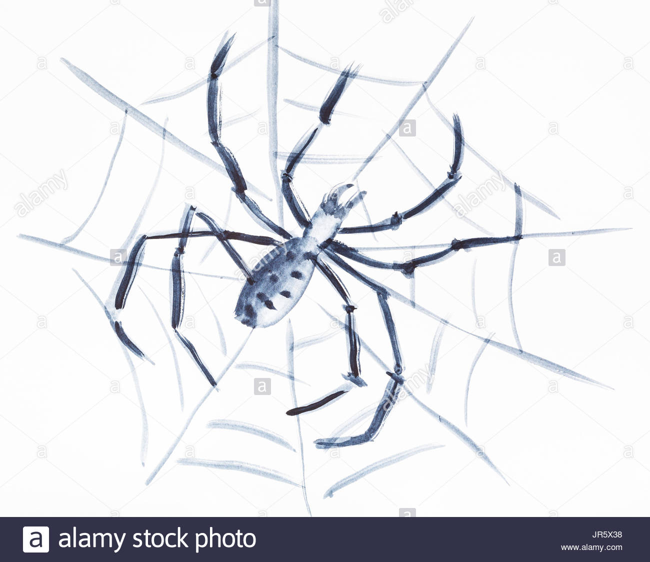 1300x1124 Spiderweb Cut Out Stock Images Amp Pictures