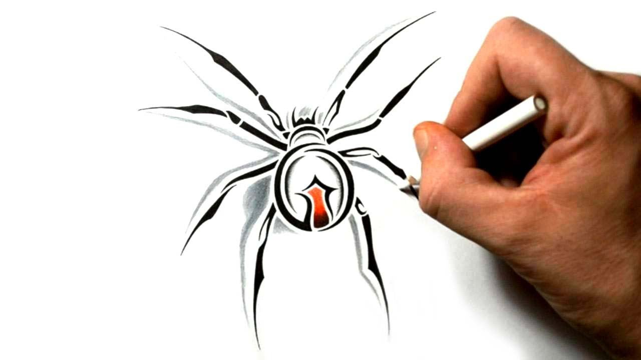 1280x720 Black Widow Spider Drawing