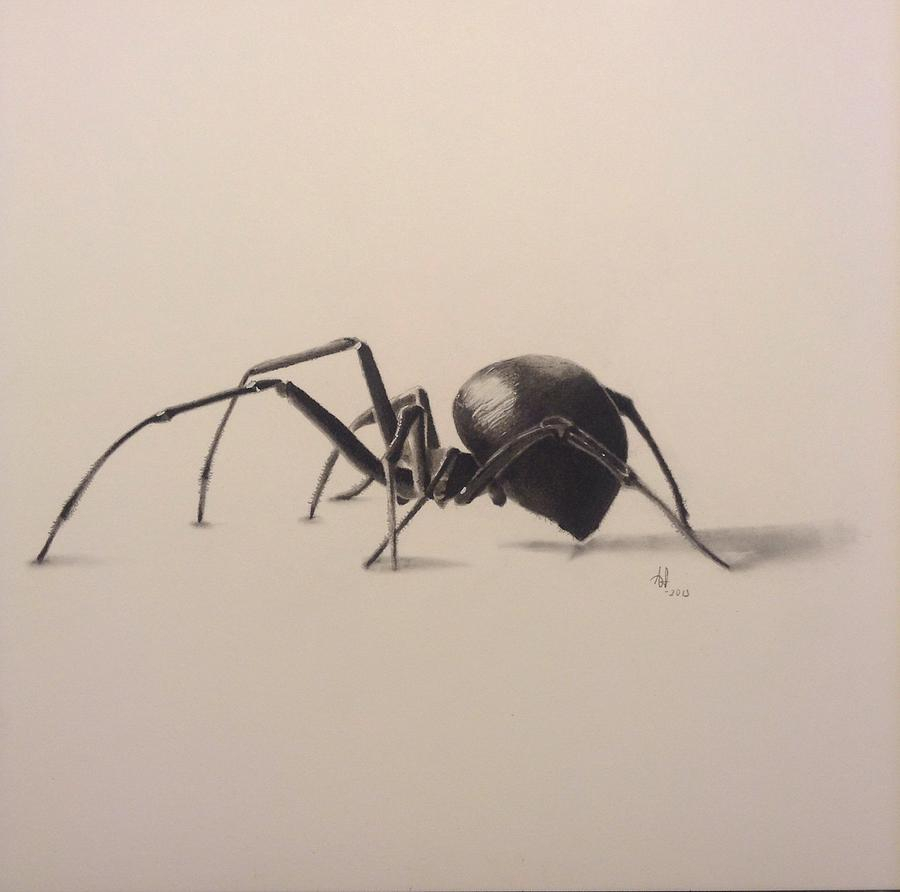 900x892 Full Hd 3d Pencil Sketch Of Spider 3d Black Spider Pencil Drawing
