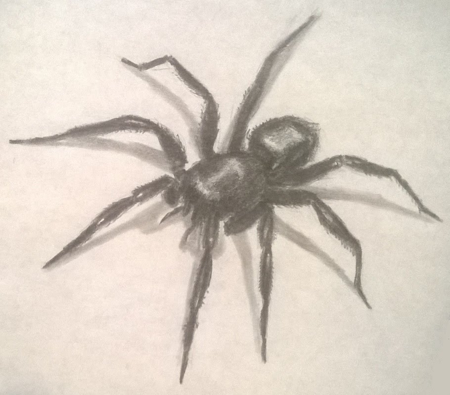 Spider Pencil Drawing at GetDrawings | Free download