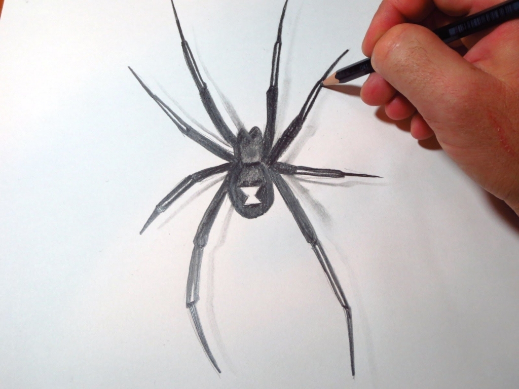 Spider Pencil Drawing at GetDrawings | Free download