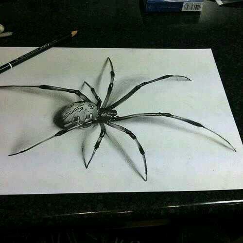 500x500 Spider Drawing