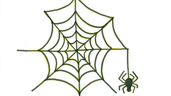 570x320 Simple Spider Web Drawing Drawing Of A Spider Web