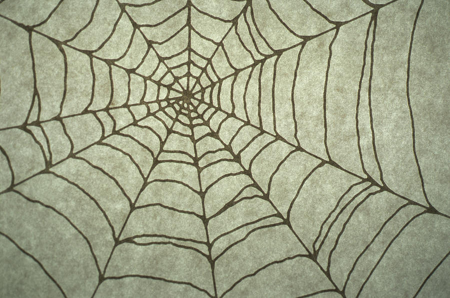 900x597 Spider Web Drawing Digital Art By Barbara Chase