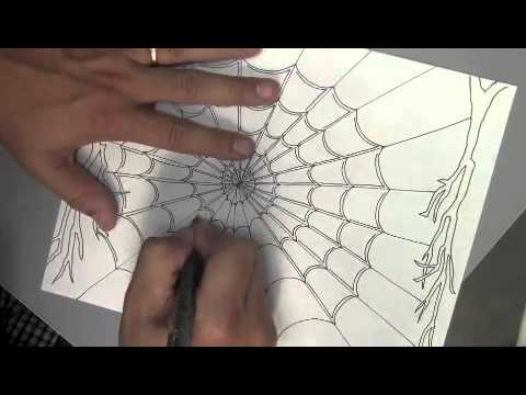 480x360 Drawing A Spider Web