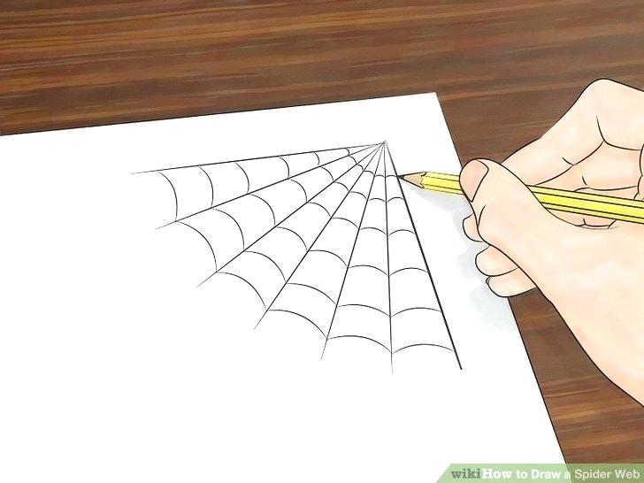 728x546 How To Draw A Spider Web Abundantlifestyle.club