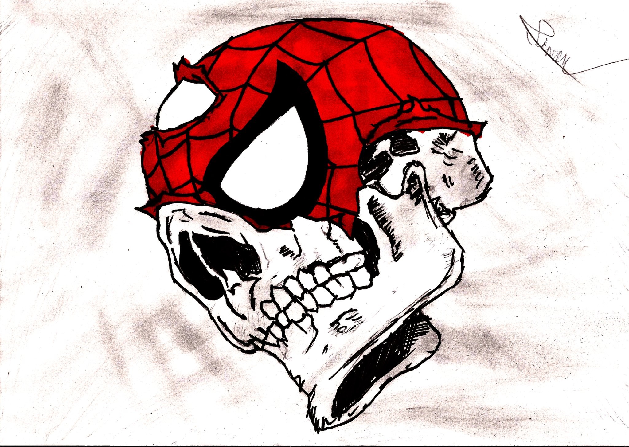 2048x1455 Wallpaper Drawing, Illustration, Cartoon, Skull, Death, Spider