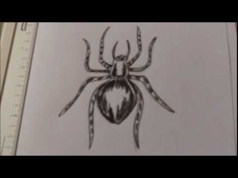 480x360 How To Draw A Creepy Spider Tattoo Idea