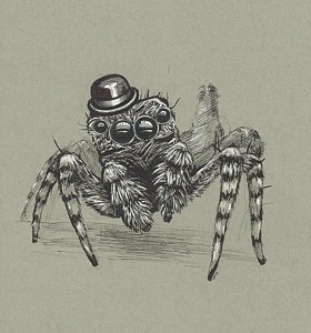 280x300 Spiders Drawings