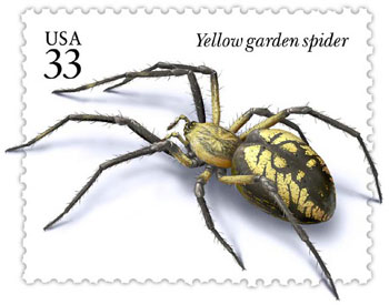 350x275 Yellow Garden Spider Gooda Tattoo Tattoo