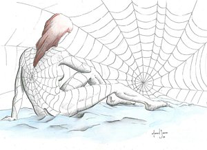 300x218 Spider Web Drawings