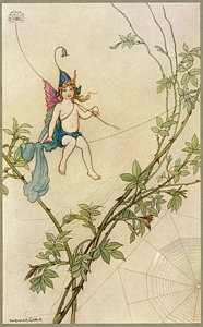 186x300 Spider Web Drawings Fine Art America